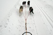 Musher2009