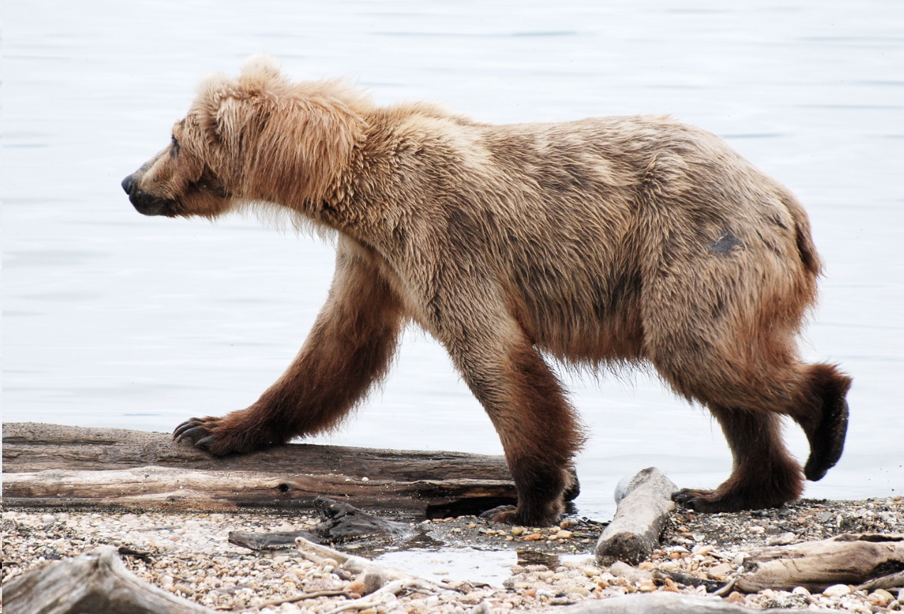 Alaska2010