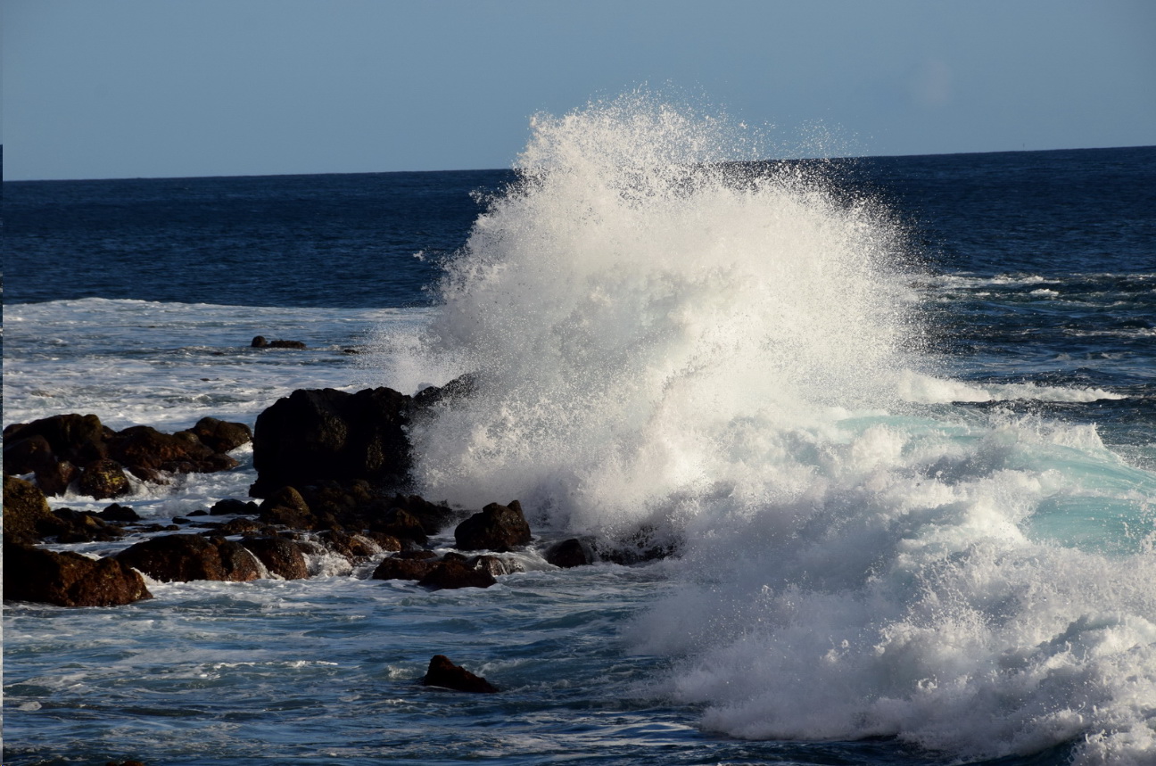 laGomera2014