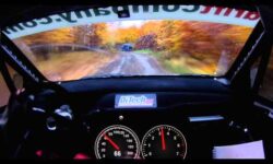 206 km/h durch den Wald