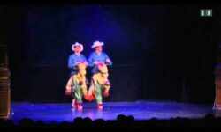 Starbugs in glanz & gloria
